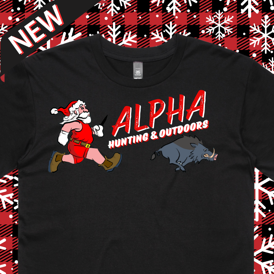 Santa on the Run