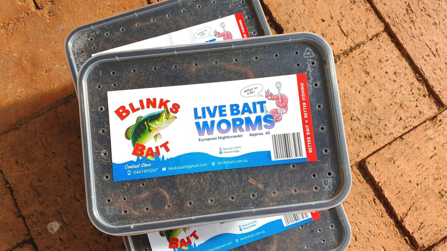 Live Bait Worms