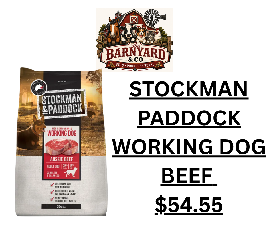 Stockman Paddock Working Dog B