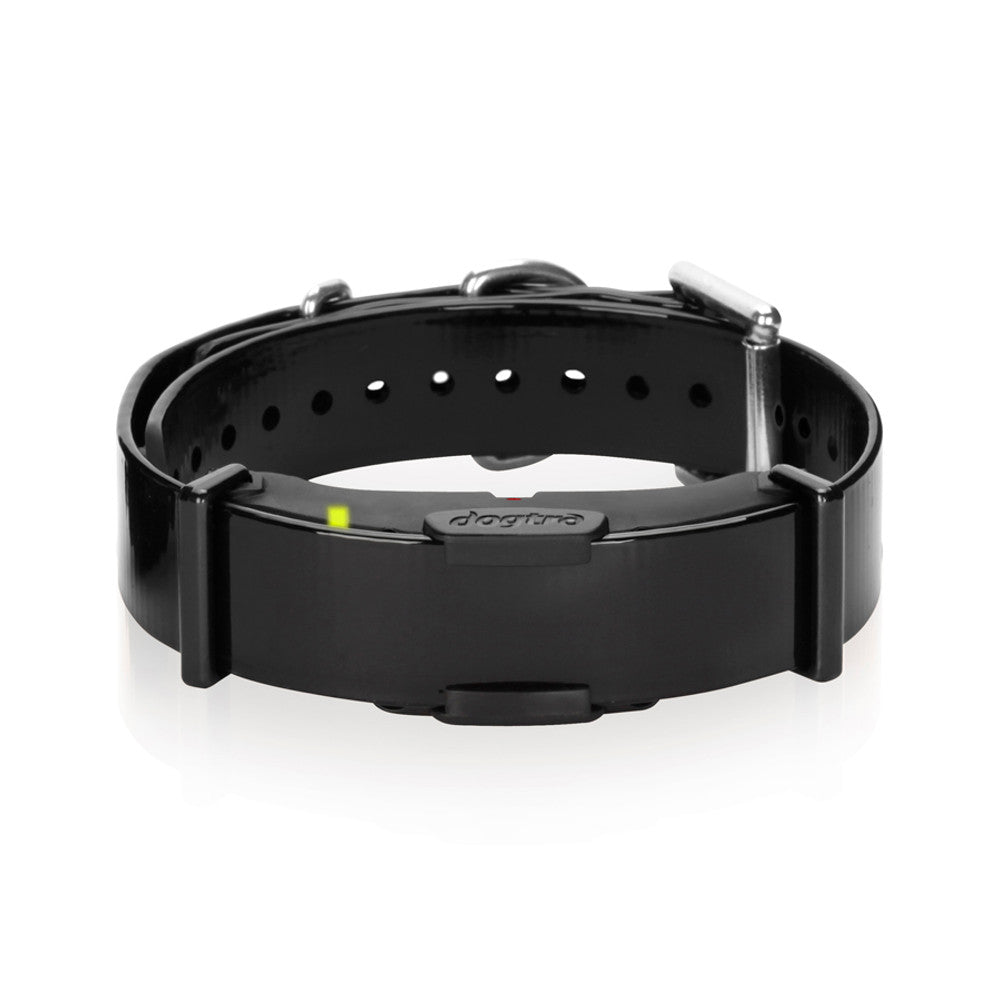 Dogtra ARC Dog Training Collars for 2 Dogs