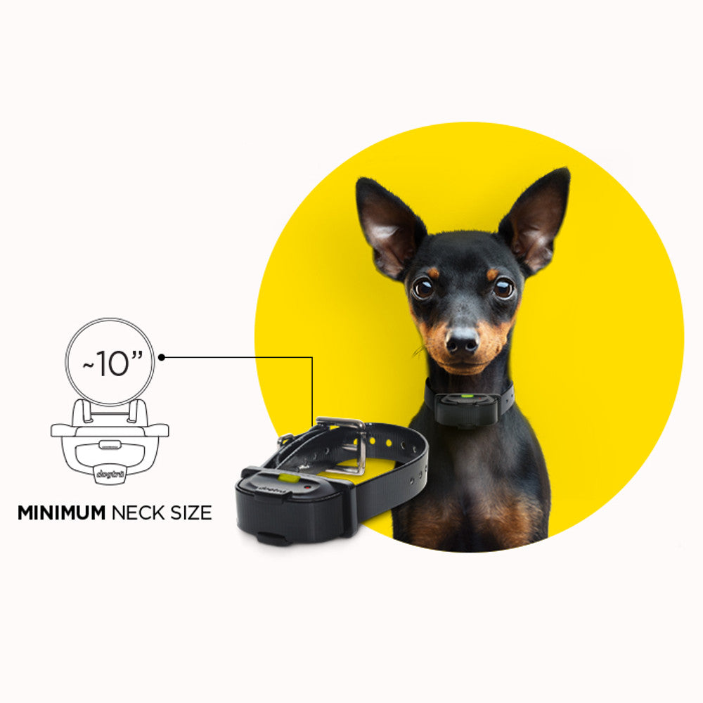 Dogtra "IQ Mini" Dog Training Collar - 365M