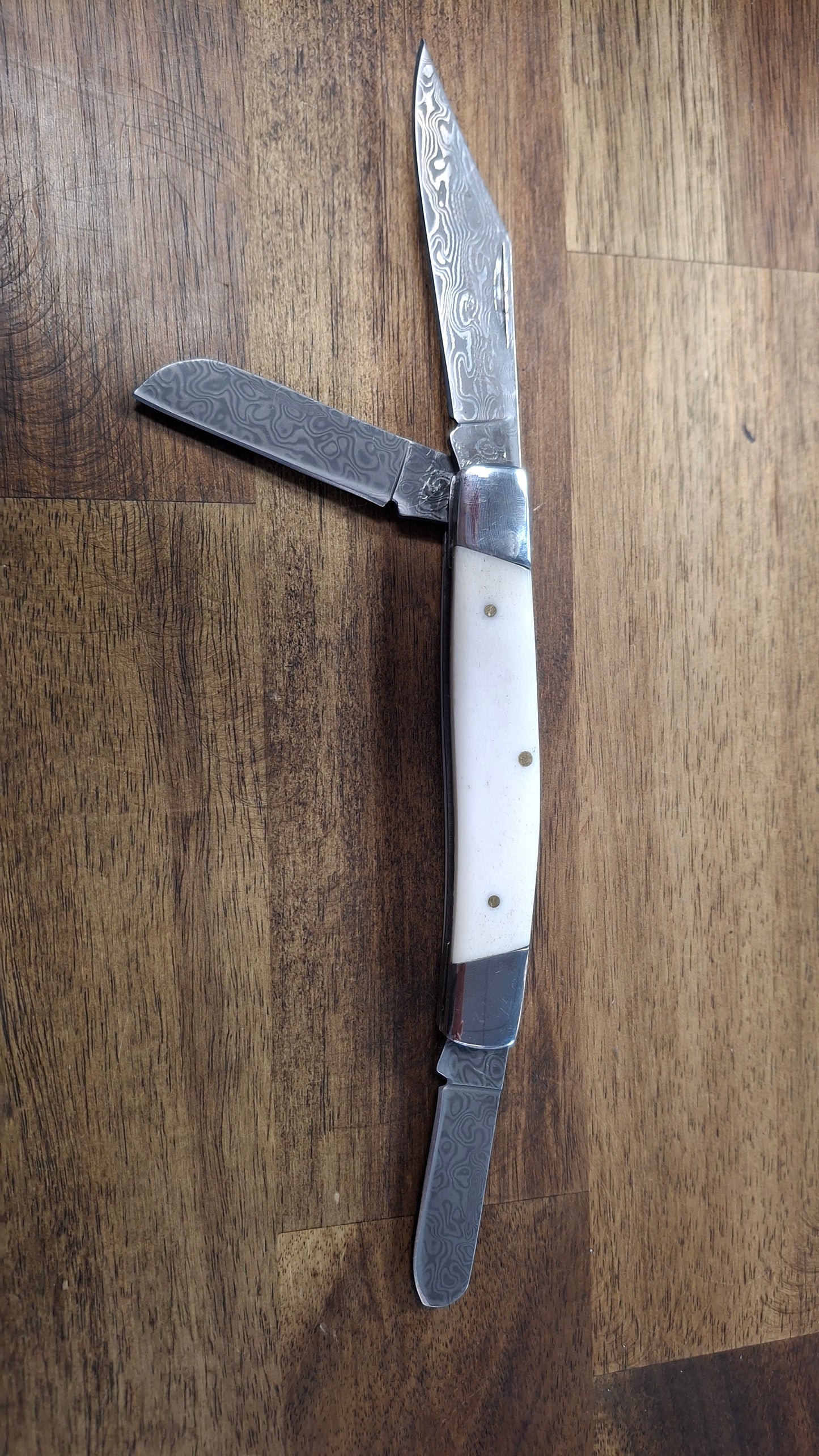 Van Diemans Land President of bone pocket knife