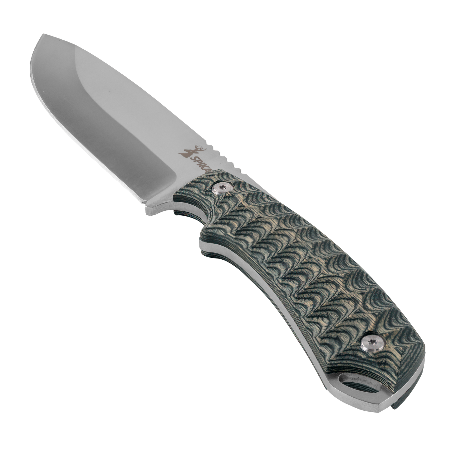 Bushmaster Dogtooth