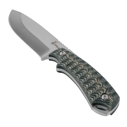 Bushmaster Dogtooth