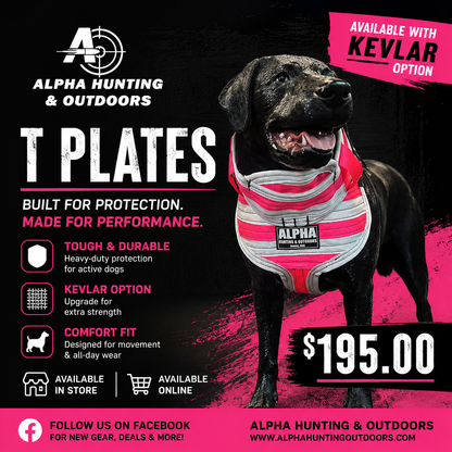 T Plates