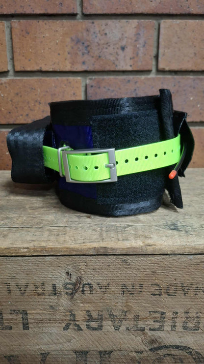 Neck collar with Tracking protector - 1 strap