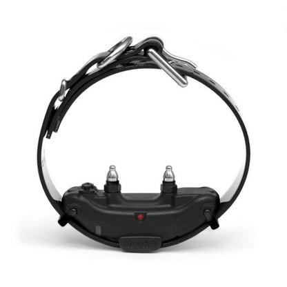 Dogtra ARC Dog Training Collars for 2 Dogs