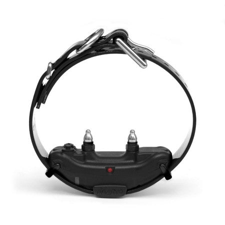 Dogtra ARC Dog Training Collars for 2 Dogs