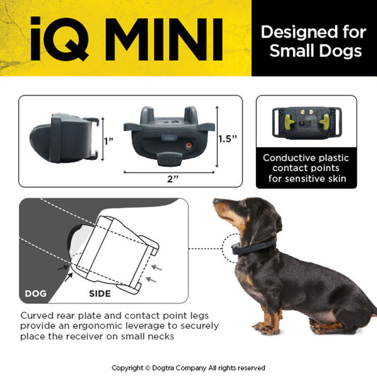 Dogtra "IQ Mini" Dog Training Collar - 365M