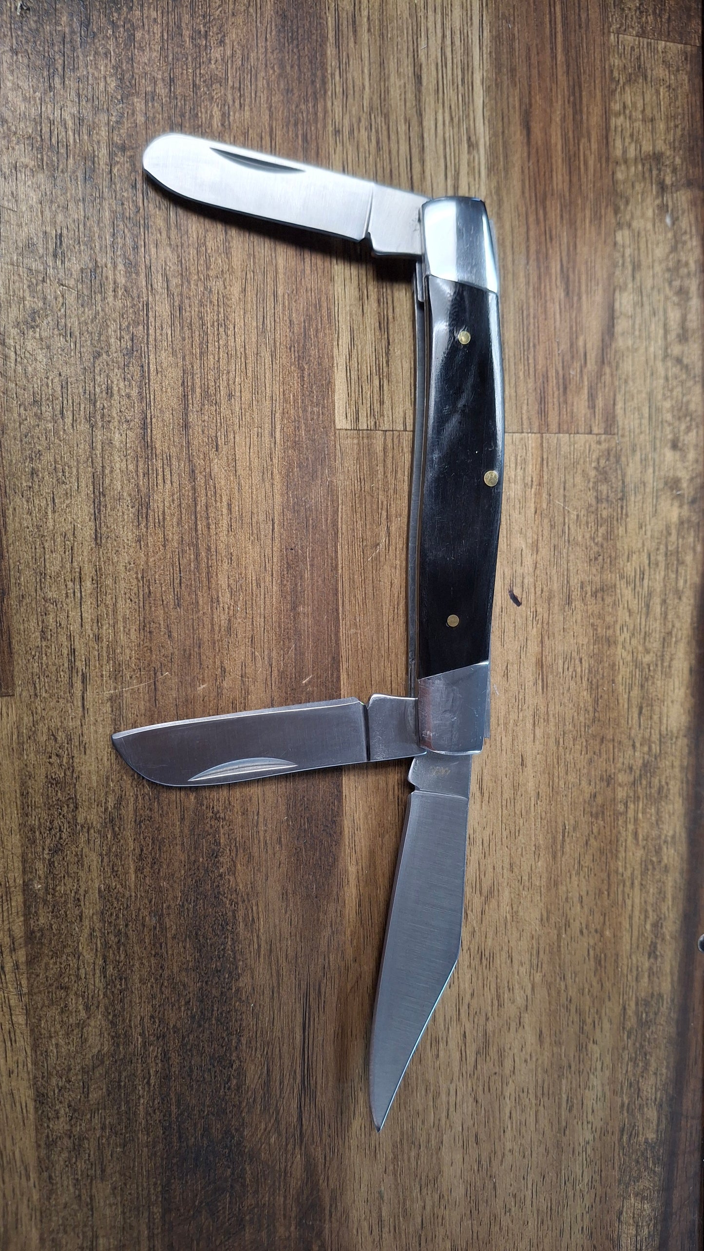Van Diemans Land buffalo horn pocket knife