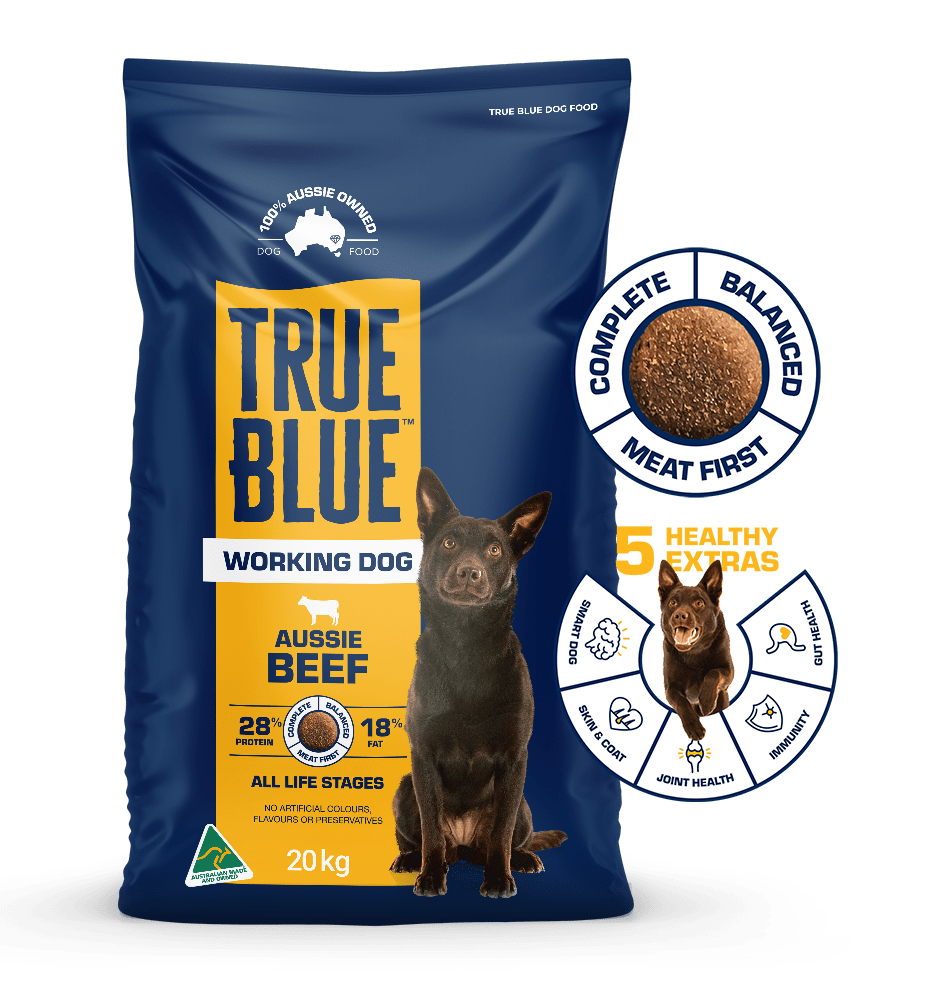 True Blue Working Dog beed 20kg